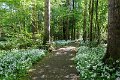 Springtime in Monaghan 2013 (42)